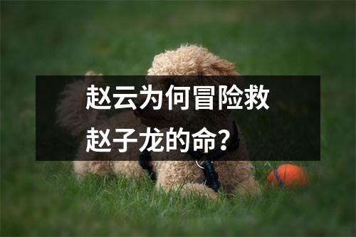 赵云为何冒险救赵子龙的命？