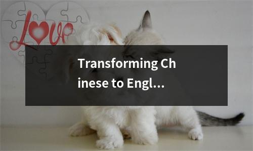 Transforming Chinese to English An Efficient Translator Tool