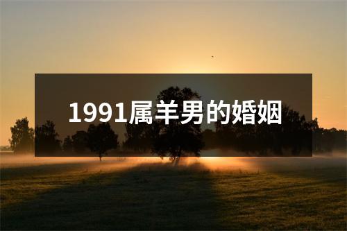 1991属羊男的婚姻