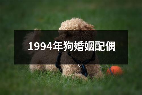 1994年狗婚姻配偶
