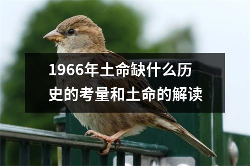 1966年土命缺什么历史的考量和土命的解读