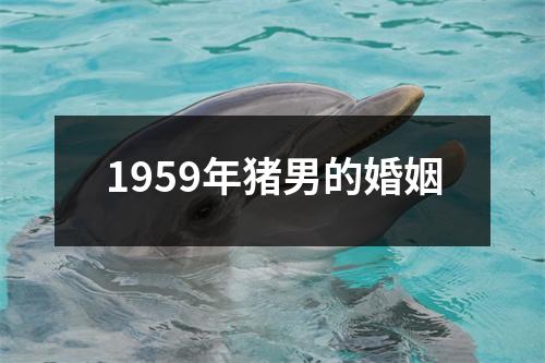1959年猪男的婚姻