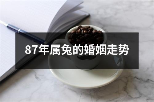 87年属兔的婚姻走势