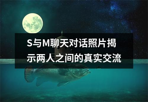 S与M聊天对话照片揭示两人之间的真实交流