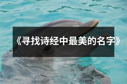 《寻找诗经中最美的名字》