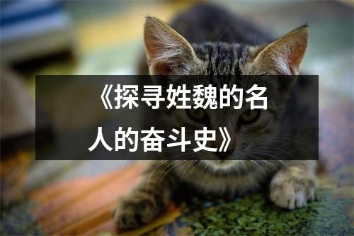 《探寻姓魏的名人的奋斗史》