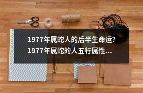 1977年属蛇人的后半生命运？1977年属蛇的人五行属性,与什么相生