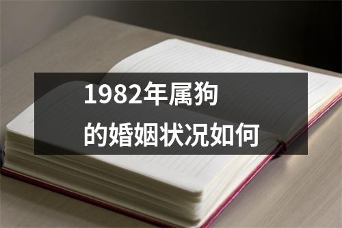 1982年属狗的婚姻状况如何