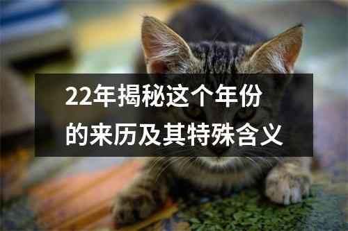 22年揭秘这个年份的来历及其特殊含义