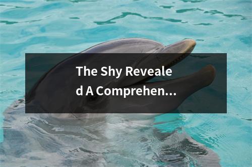The Shy Revealed A Comprehensive Profe of the LCK Superstar