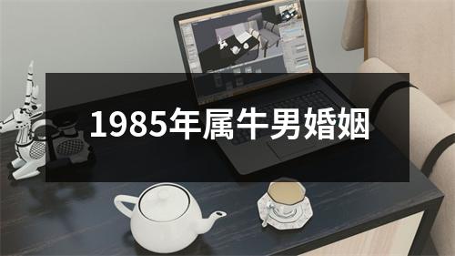 1985年属牛男婚姻