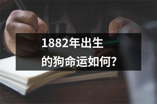 1882年出生的狗命运如何？