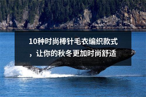 10种时尚棒针毛衣编织款式，让你的秋冬更加时尚舒适