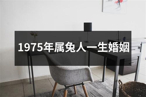 1975年属兔人一生婚姻