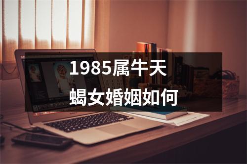 1985属牛天蝎女婚姻如何