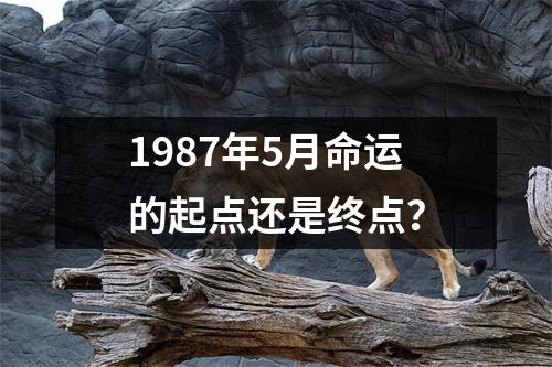 1987年5月命运的起点还是终点？