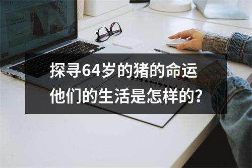 探寻64岁的猪的命运他们的生活是怎样的？