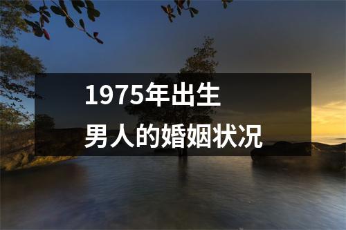 1975年出生男人的婚姻状况