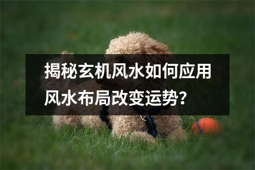 揭秘玄机风水如何应用风水布局改变运势？