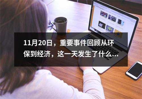 11月20日，重要事件回顾从环保到经济，这一天发生了什么？