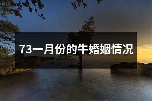 73一月份的牛婚姻情况