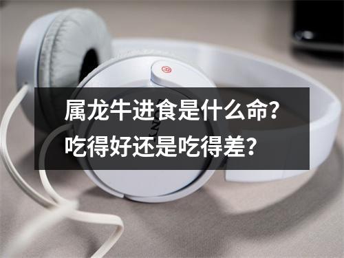 属龙牛进食是什么命？吃得好还是吃得差？