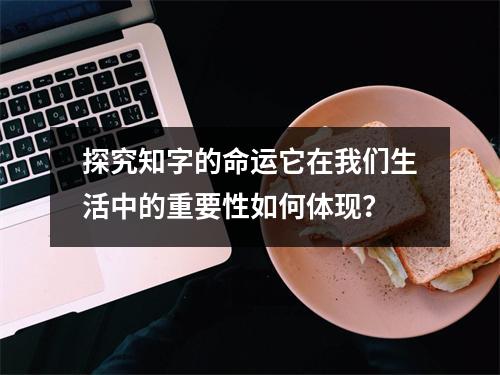 探究知字的命运它在我们生活中的重要性如何体现？