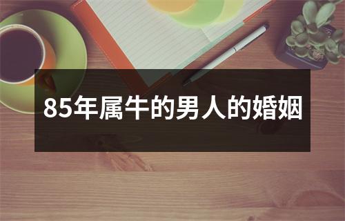 85年属牛的男人的婚姻
