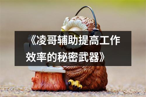 《凌哥辅助提高工作效率的秘密武器》