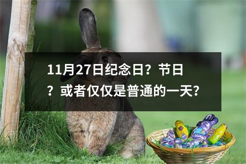 11月27日纪念日？节日？或者仅仅是普通的一天？