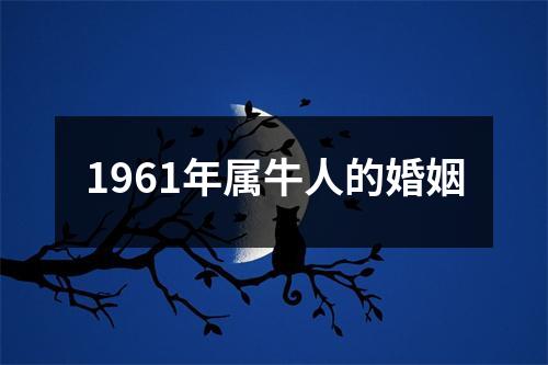 1961年属牛人的婚姻