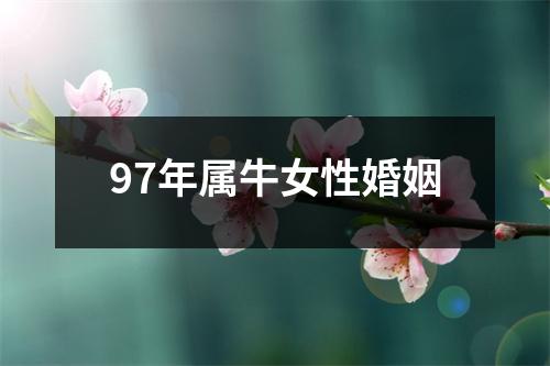 97年属牛女性婚姻