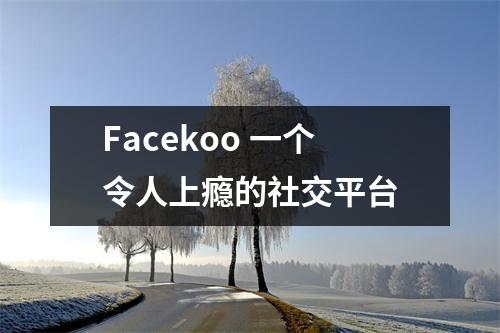 Facekoo 一个令人上瘾的社交平台
