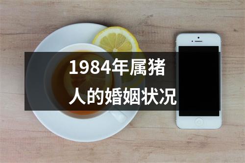 1984年属猪人的婚姻状况