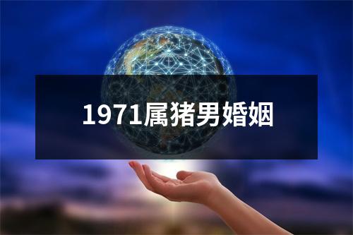 1971属猪男婚姻