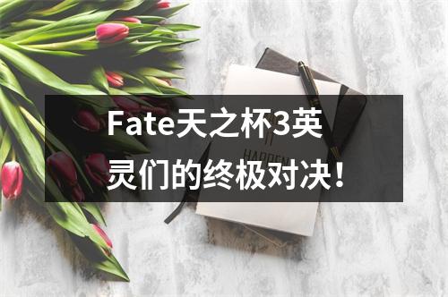 Fate天之杯3英灵们的终极对决！