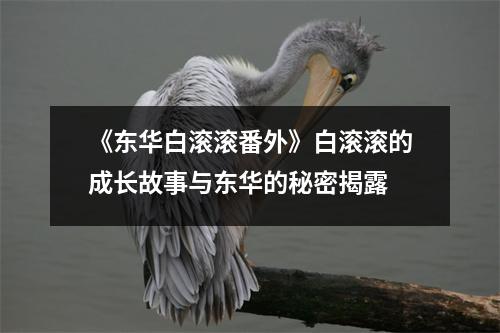 《东华白滚滚番外》白滚滚的成长故事与东华的秘密揭露