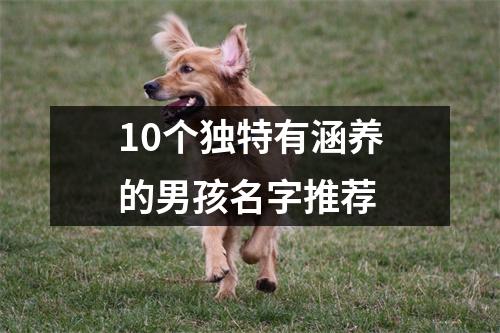 10个独特有涵养的男孩名字推荐