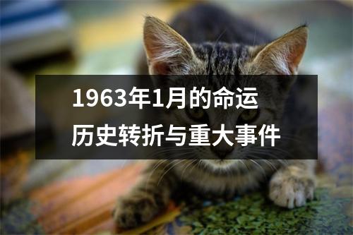 1963年1月的命运历史转折与重大事件