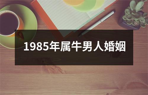 1985年属牛男人婚姻