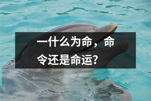 一什么为命，命令还是命运？