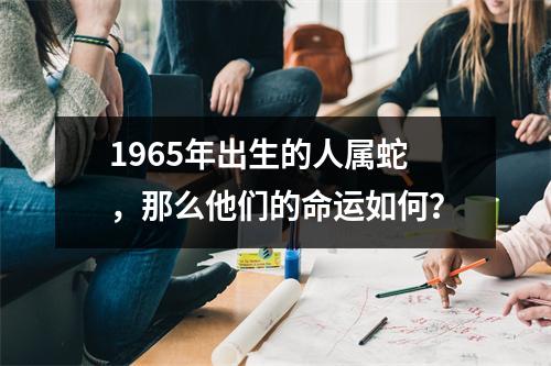 1965年出生的人属蛇，那么他们的命运如何？
