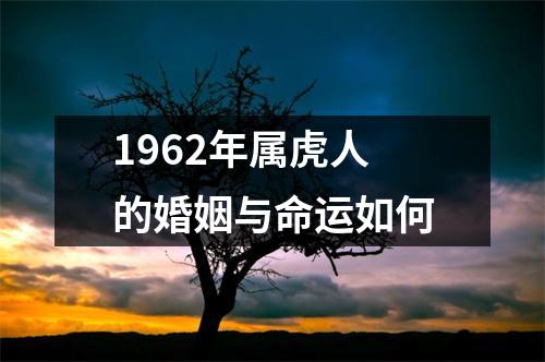 1962年属虎人的婚姻与命运如何