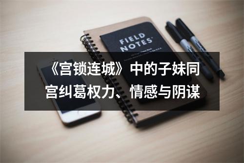 《宫锁连城》中的子妹同宫纠葛权力、情感与阴谋