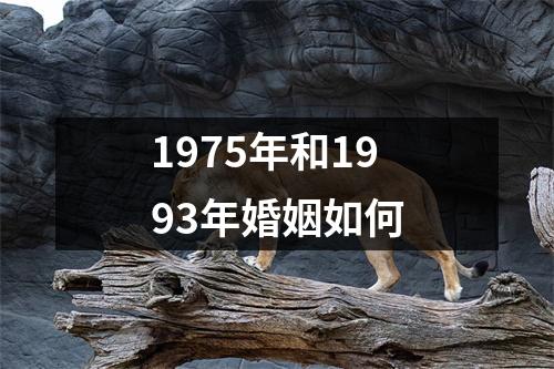 1975年和1993年婚姻如何