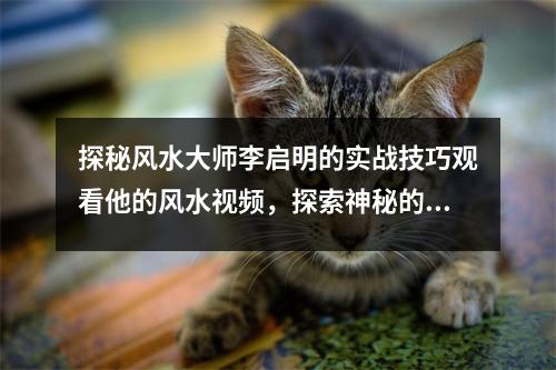 探秘风水大师李启明的实战技巧观看他的风水视频，探索神秘的风水世界