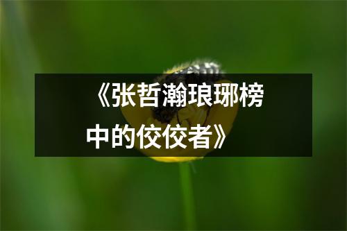 《张哲瀚琅琊榜中的佼佼者》