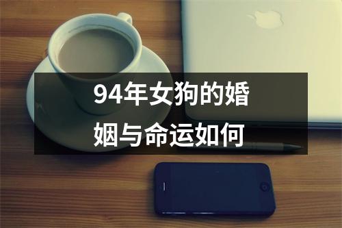 94年女狗的婚姻与命运如何