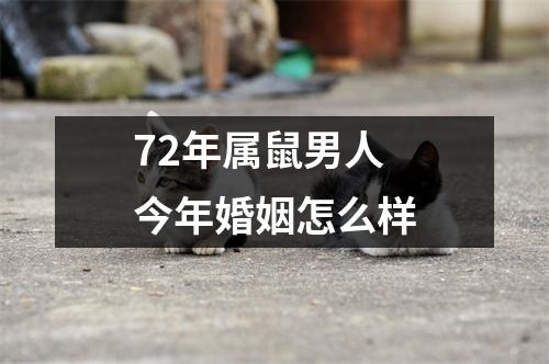 72年属鼠男人今年婚姻怎么样