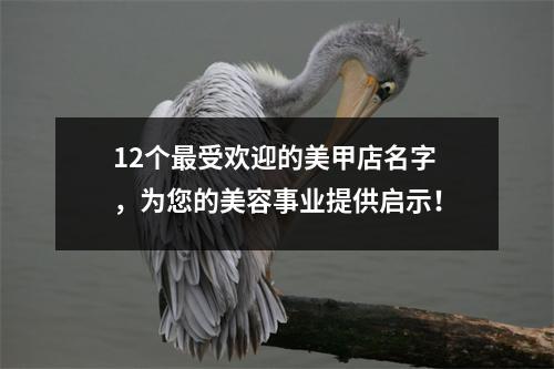 12个最受欢迎的美甲店名字，为您的美容事业提供启示！